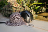 Tagazhout Surf Helmet SPF50+
